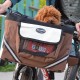 Cocker Spaniel Bike Carrier