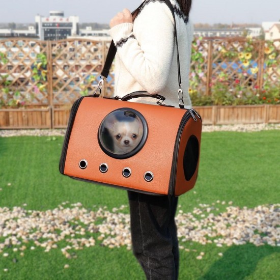 Dachshund Carry Bag