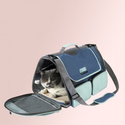 Corgi Airline Carrier